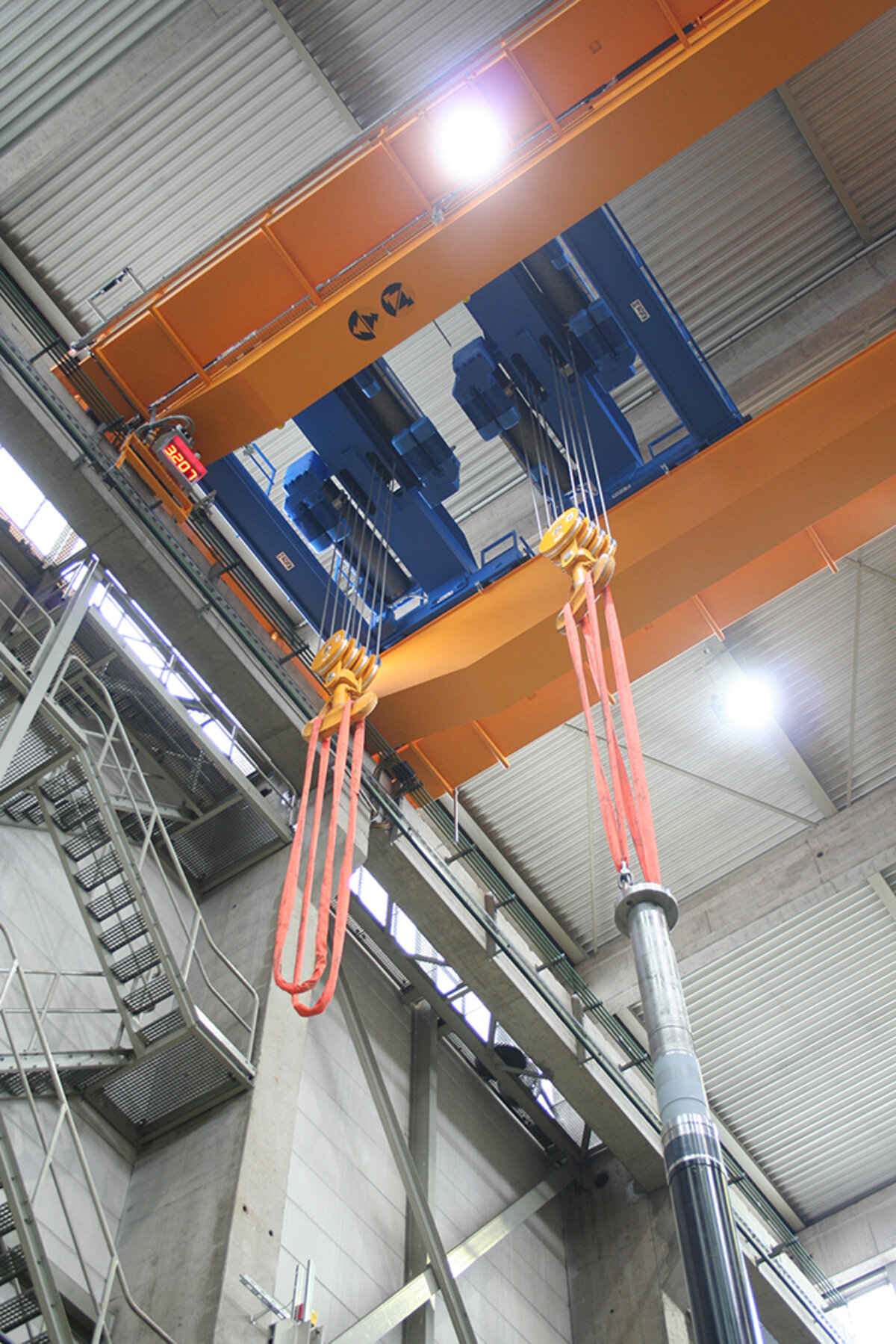 サスカッチ Zach gormleyエディション カリブ サスカッチ Zach gormley